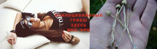 мдпв Белокуриха