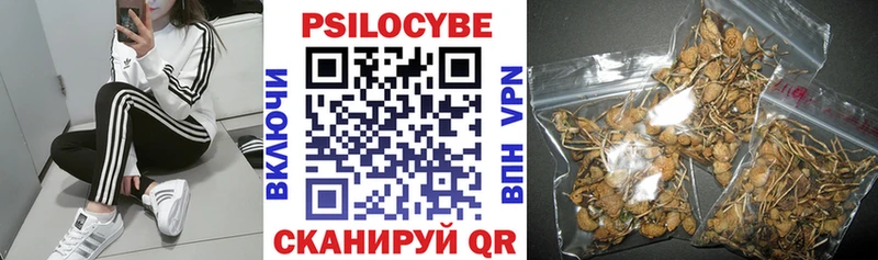 Псилоцибиновые грибы прущие грибы  гидра ONION  Люберцы 